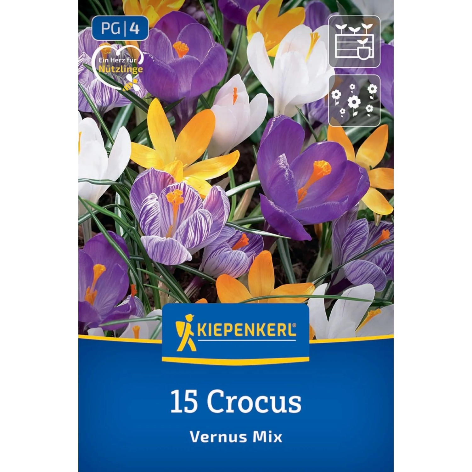 Kiepenkerl Blumenzwiebel Großblumige Krokus-Mischung 15 Stück_3