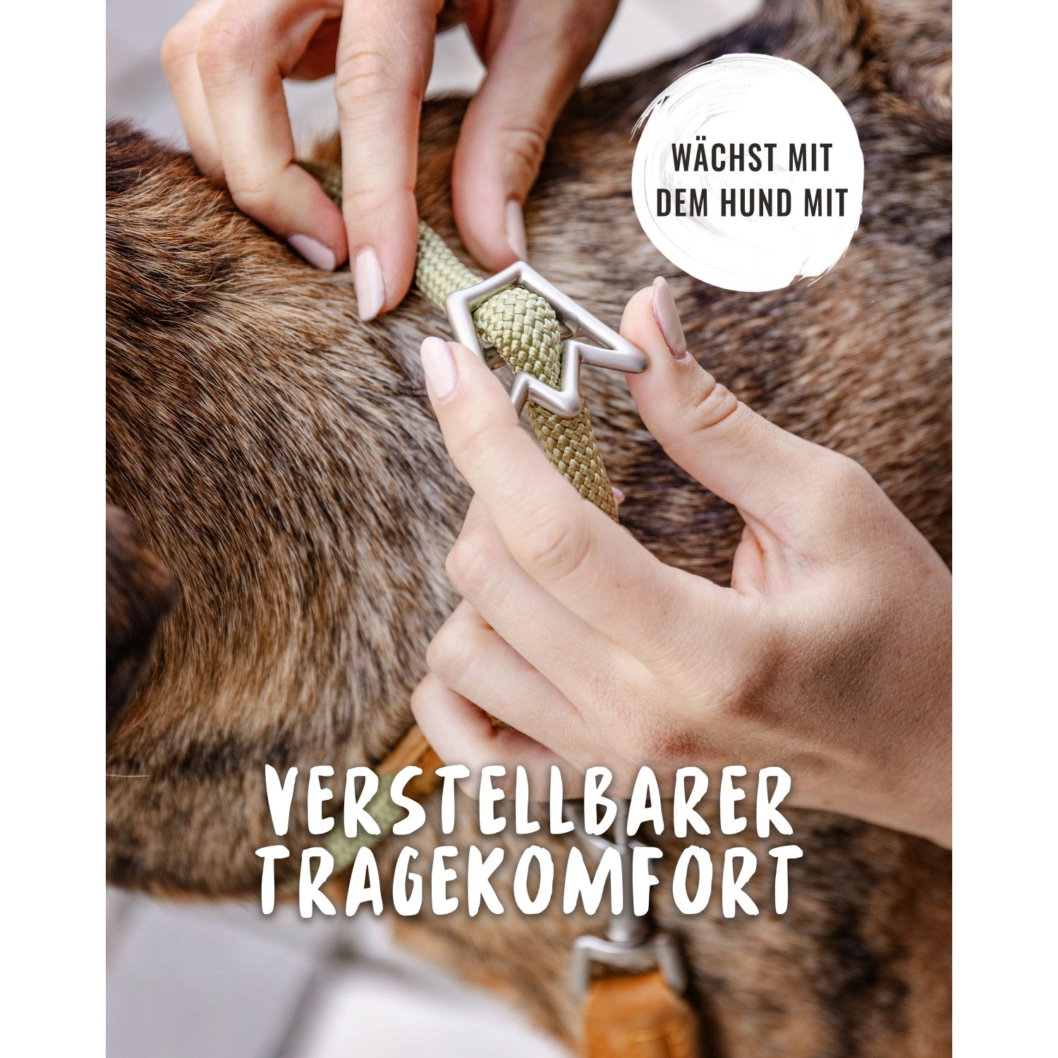 Grünes Rudelkönig Zugstopp-Hundehalsband aus Nylon, verstellbar, Größe 5 am Hundehals.