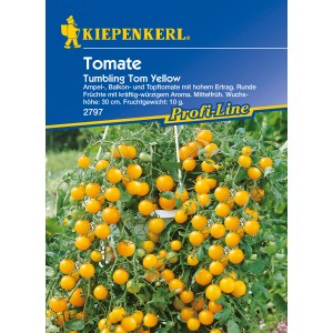 Tomaten Ampel Tumbling Tom Yellow mit leuchtend gelben, runden Früchten.