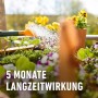 Gießkanne bewässert Hochbeet mit Compo Bio Langzeit-Dünger für gesundes Pflanzenwachstum.
