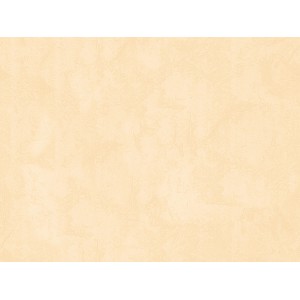 A.S. Creation Vliestapete in Creme Beige mit leichter Struktur.