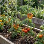 Relaxdays Tomaten Spiralstab Stahl Silber Verzinkt 10er Pack 170 cm_2