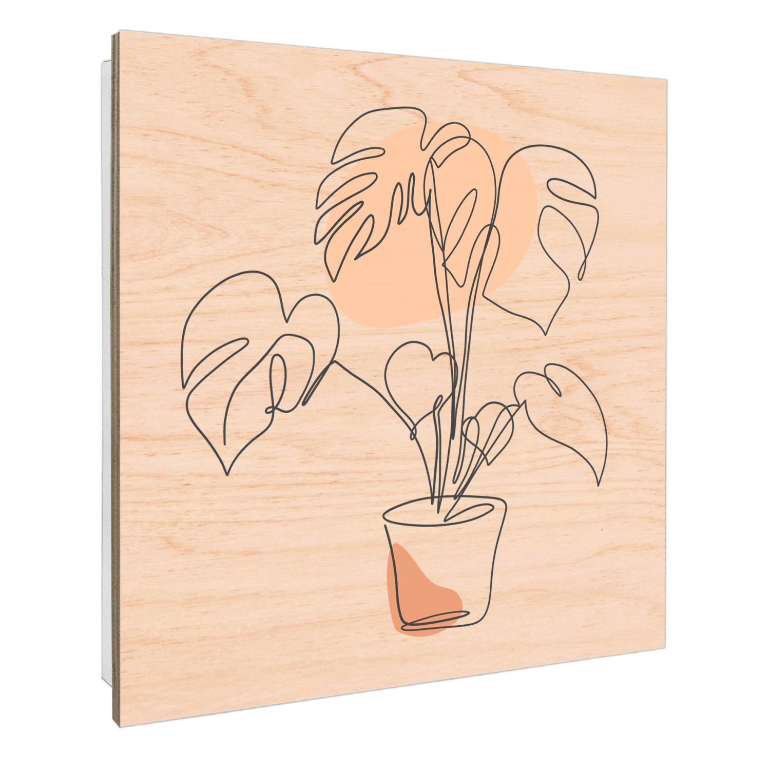 Weißer Banjado Schlüsselkasten mit Monstera Skizze auf Holzfront, 30x30cm, 50 Haken.