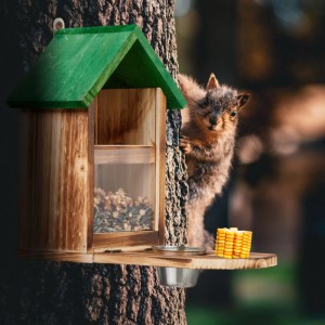 Relaxdays Eichhörnchen Futterhaus Tannenholz Natur Grün Mit Maiskolbenhalter 28 x 17 x 28,5 cm 0,6 kg
