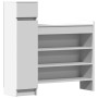 vidaXL Schuhschrank Weiß 100,5x28x100 cm Holzwerkstoff 840422