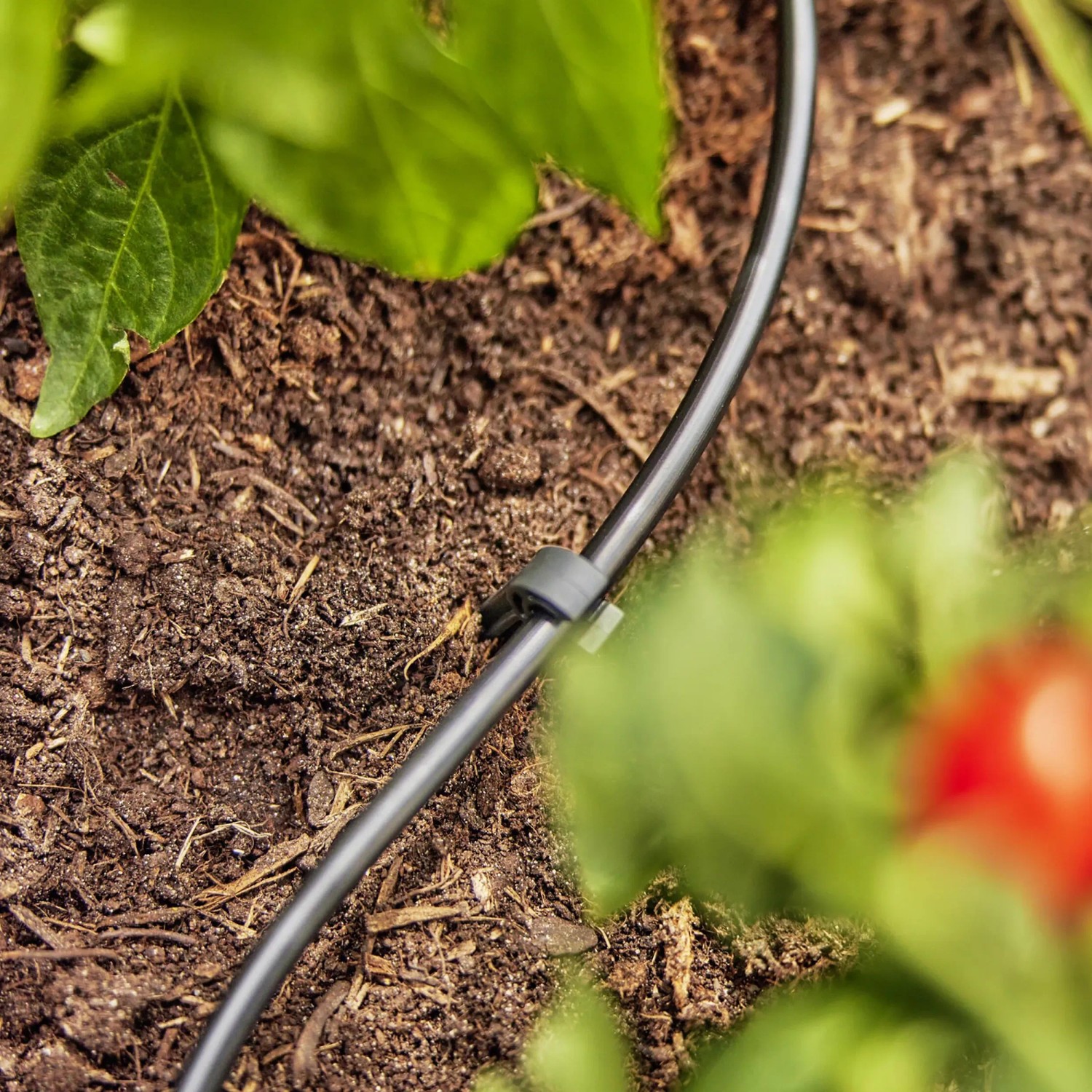Gardena Verteilerrohr 4,6mm im Beet mit Erdreich und Pflanzen, Teil des Micro-Drip-Systems.