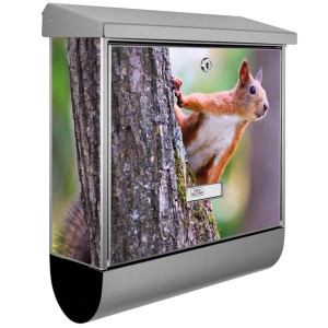 Banjado Edelstahl Briefkasten mit Eichhörnchen Motiv und Zeitungsfach.