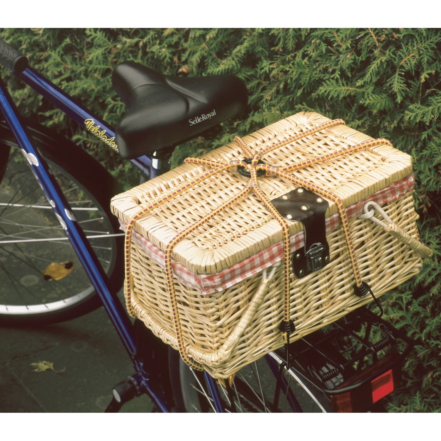 Gepäckspinne 8-armig sichert Weidenkorb auf Fahrrad-Gepäckträger, Reise & Transport Zubehör.