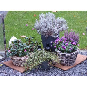 Kokos Mulchmatte 4er Set als Topfuntersetzer und Baumschutz (40x40cm) in Natur.