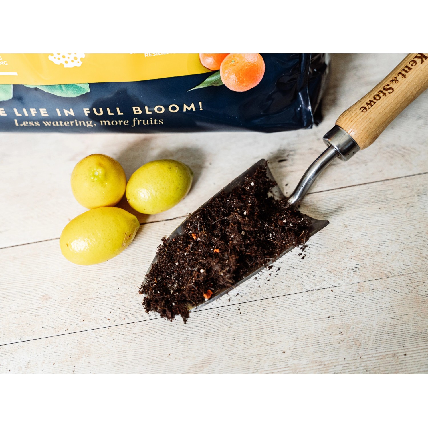 Westland Zitruspflanzenerde Torffrei mit Seramis 8 l_3