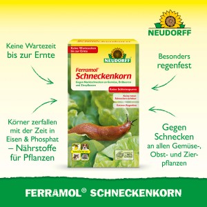 Verpackung Ferramol Schneckenkorn mit Schnecke auf Salatblatt. Wirkt gegen Schnecken, schont Nützlinge.