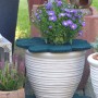 Grünes 3er Set Mulchscheibe Blume (Ø 37cm) als Winterschutz für Topfpflanzen im Garten.
