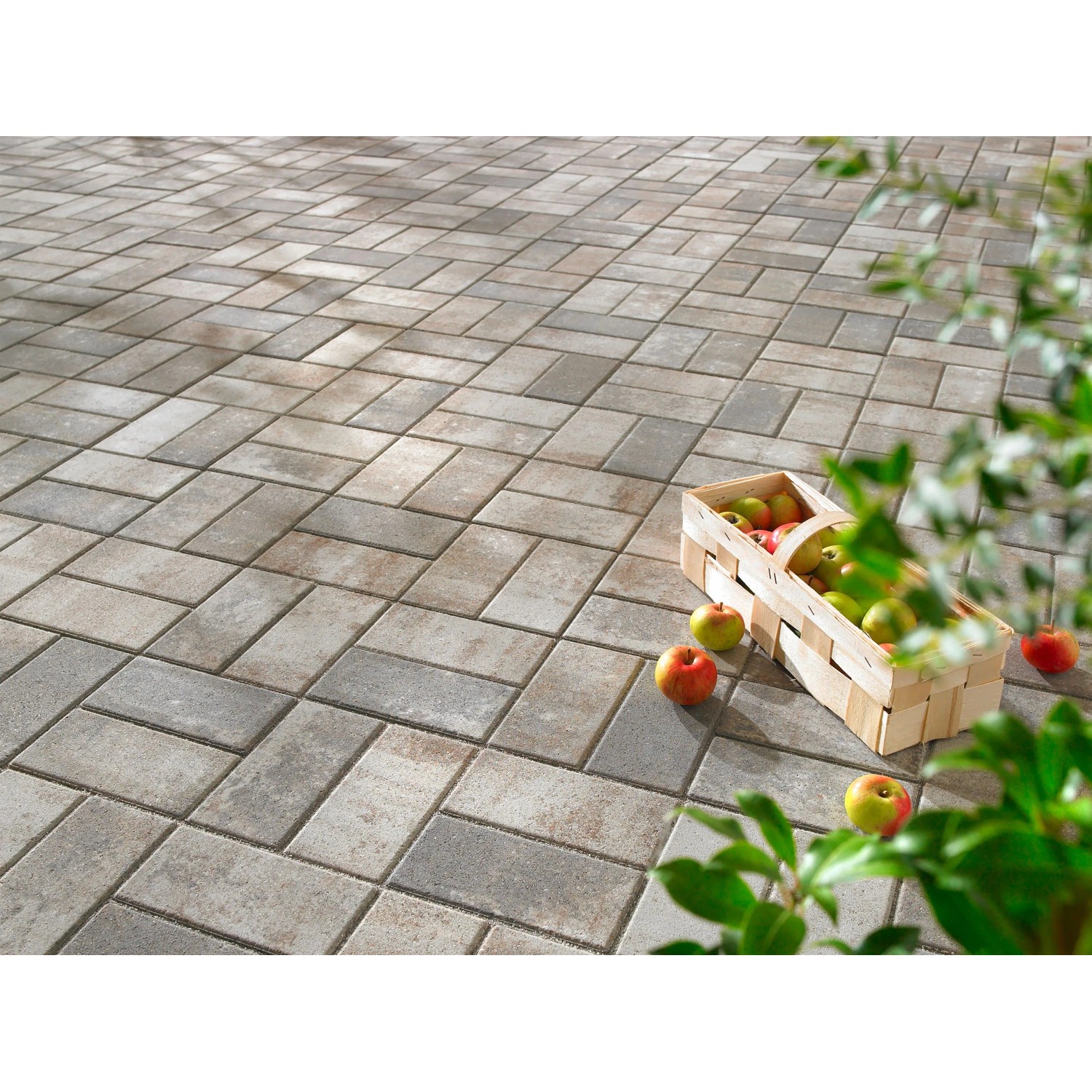 Verlegtes Rechteck-Pflaster Beton Jura-Nuanciert mit Äpfeln im Korb, ideal für Gartenwege.