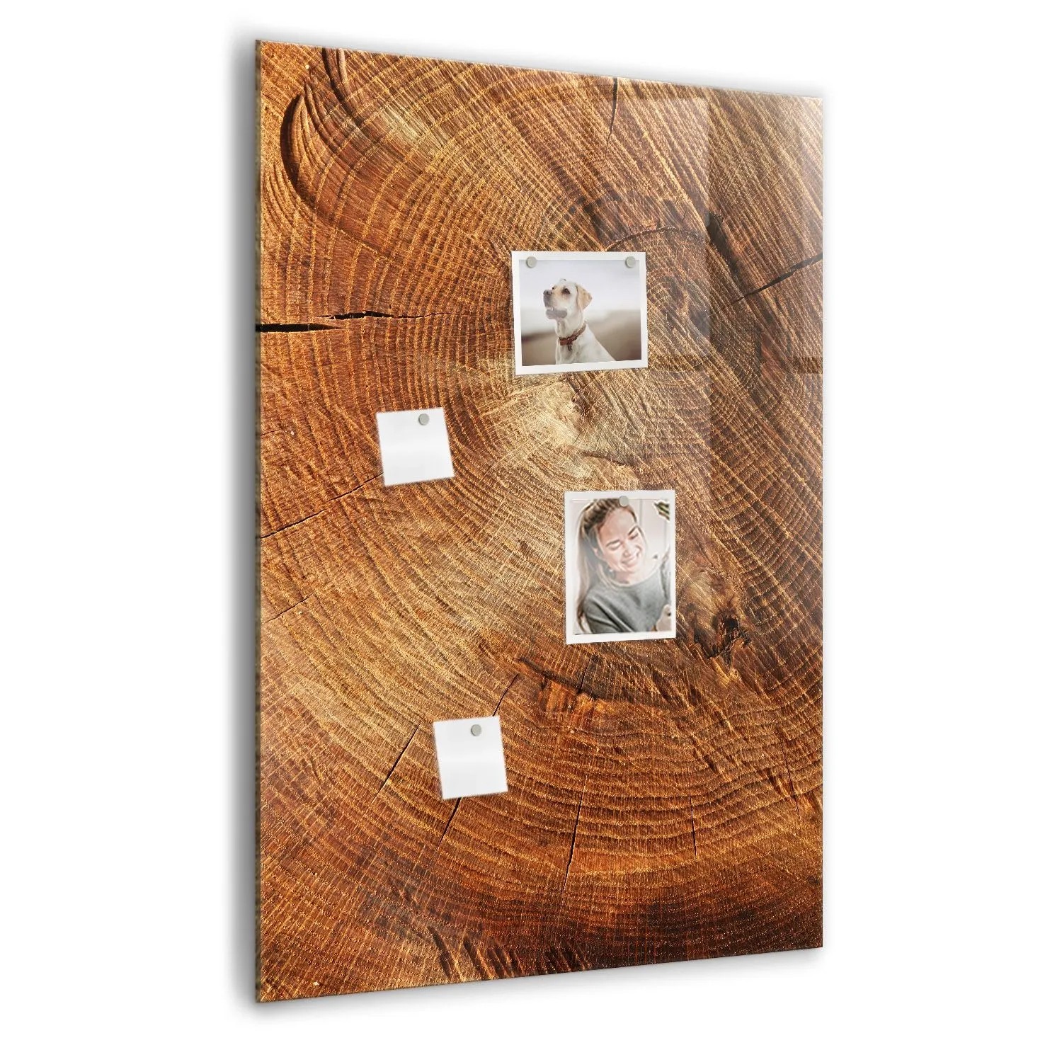 Tulup Magnettafel Glas Querschnitt Des Stammes 70x100 cm Magnettafel Zum Schreiben Weißer Marker Magnettafel Flur Glas