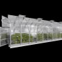 Klasika Gewächshaus 20m² mit Polycarbonatabdeckung und Dachfenstern.
