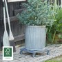 Anthrazitfarbener Wagner Multi Roller GH 0412 mit Pflanztopf, Tragkraft 120 kg.