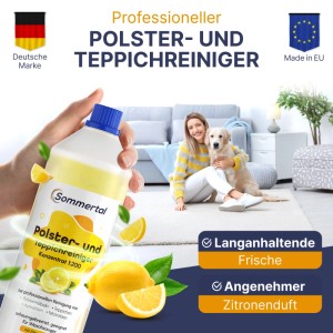 Sommertal Polster und Teppichreiniger 4L Konzentrat für 160 Anwendungen Sofa Auto Teppich