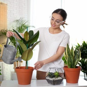 Relaxdays Pflanzenstab Bambus Dunkelgrün 50er Set mit Bindedraht 60 cm x 0,6 cm