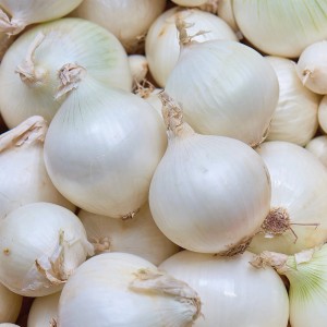 Weiße Steckzwiebeln der Sorte Snowball, 250g Packung für den Gemüseanbau.
