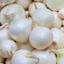 Weiße Steckzwiebeln der Sorte Snowball, 250g Packung für den Gemüseanbau.