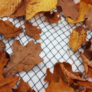 Aquagart Teichnetz 3x12m als Laubschutznetz mit Herbstlaub auf weißem Grund.