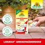 Neudorff Loxiran Ameisen-Köderdose für Innen & Außen. Effektive Ameisenbekämpfung im Haus und Garten.