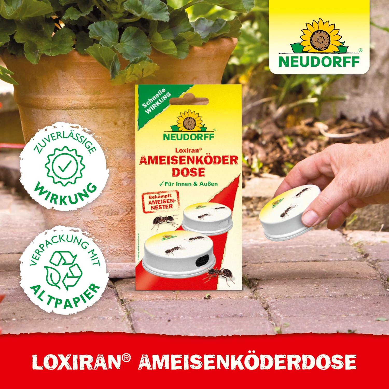 Neudorff Loxiran Ameisen-Köderdose für Innen & Außen. Effektive Ameisenbekämpfung im Haus und Garten.