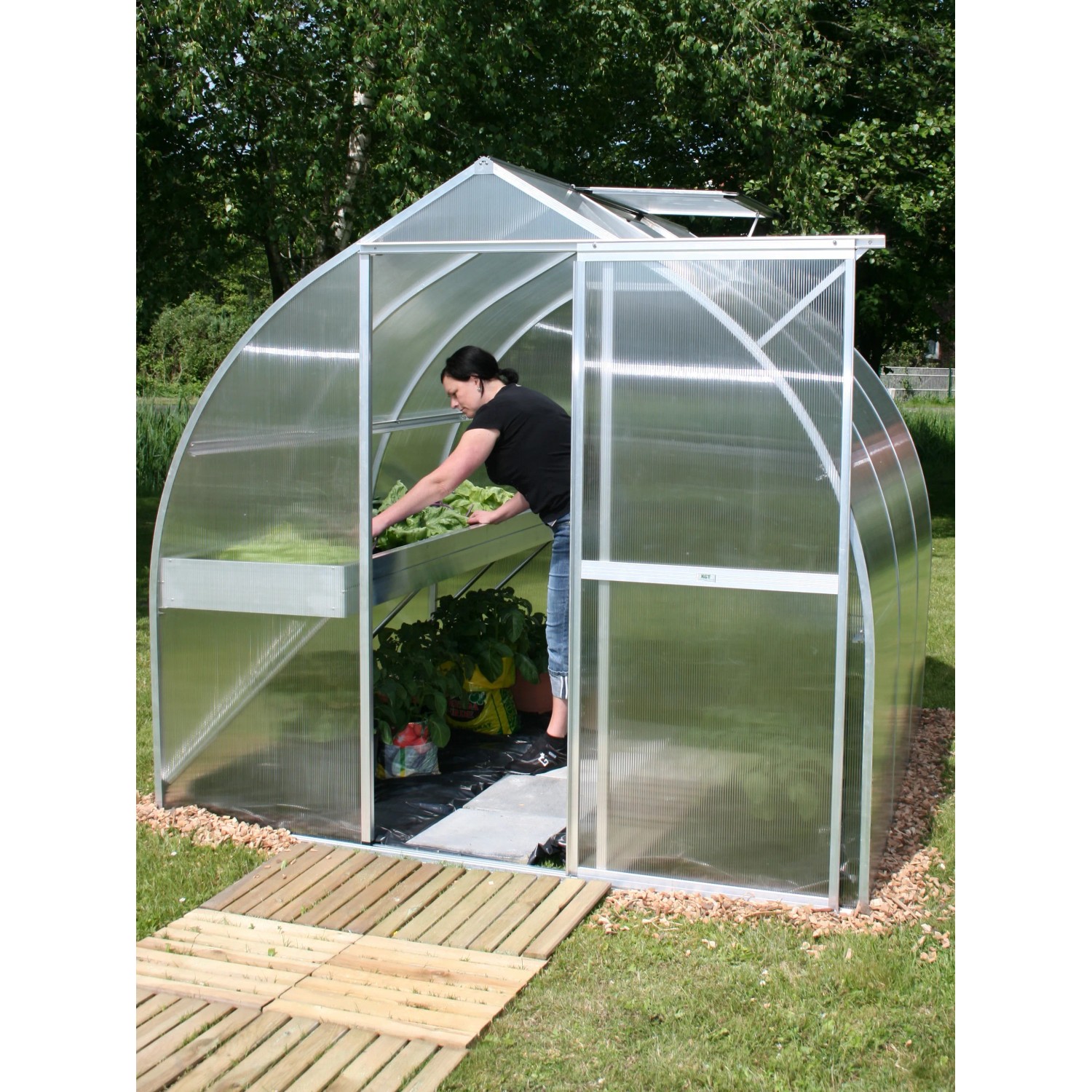 KGT Gewächshaus Alu blank 5,15 m² mit Pflanzen und offener Tür.