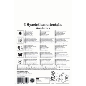 Verpackung Kiepenkerl Hyazinthe Woodstock, purpurrote Blüten für Beet und Kübel.
