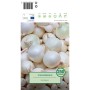 Steckzwiebeln 'Snowball', 250g, weiße Zwiebeln zum Pflanzen im Garten.