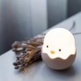 Dimmbares LED Nachtlicht Eggy Egg in Kükenform mit Akku und RGBW Funktion.