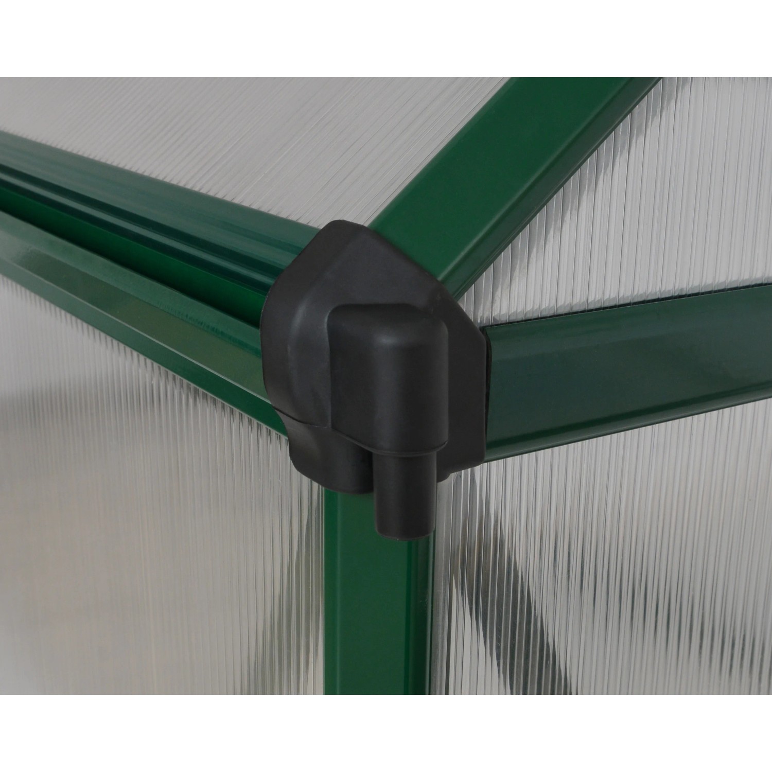 Detailaufnahme: Grüne Ecke und transparente Wand des CANOPIA by PALRAM Gewächshaus Mythos.