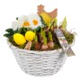 Frühlingsarrangement im weißen Korb mit Primeln, Traubenhyazinthen, Osterglocken und Deko-Eiern.