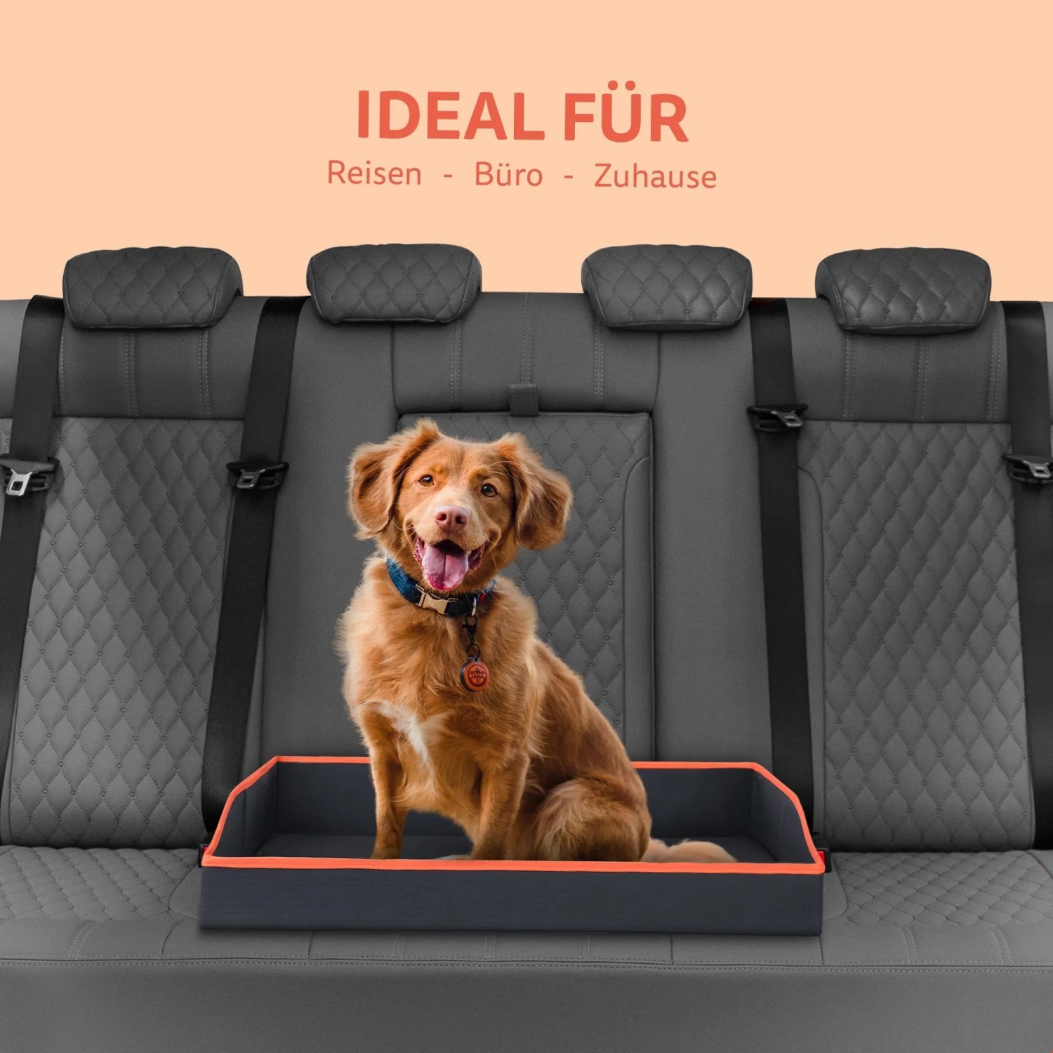 wie gro sollte ein hundebett sein Compre la cama ortopdica para perros en lneaEmmi-pet