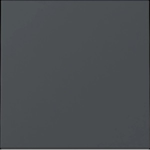 Gira Wippe System 55 in Anthrazit für Schalter und Taster.