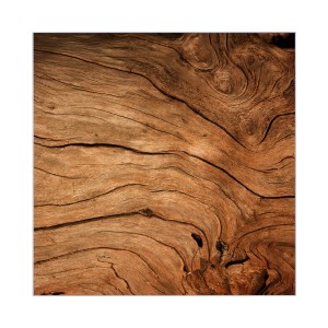 Motiv 'Trockenes Holz' auf Glastür für Banjado Schlüsselkasten 30x30cm, Garderobenleiste.