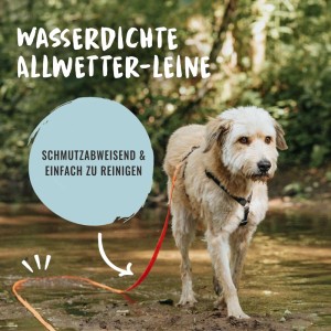 Rudelkönig Schleppleine Hund 5 m Orange PVC Beschichtet Freilaufleine