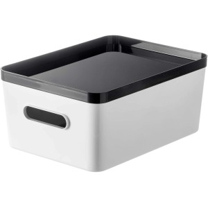 SmartStore Compact Aufbewahrungsbox L mit grauem Deckel.