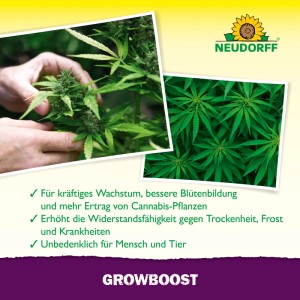 Neudorff GrowBoost Wurzelaktivator für Cannabis: Stärkt Wurzeln, fördert Wachstum und Widerstandskraft.