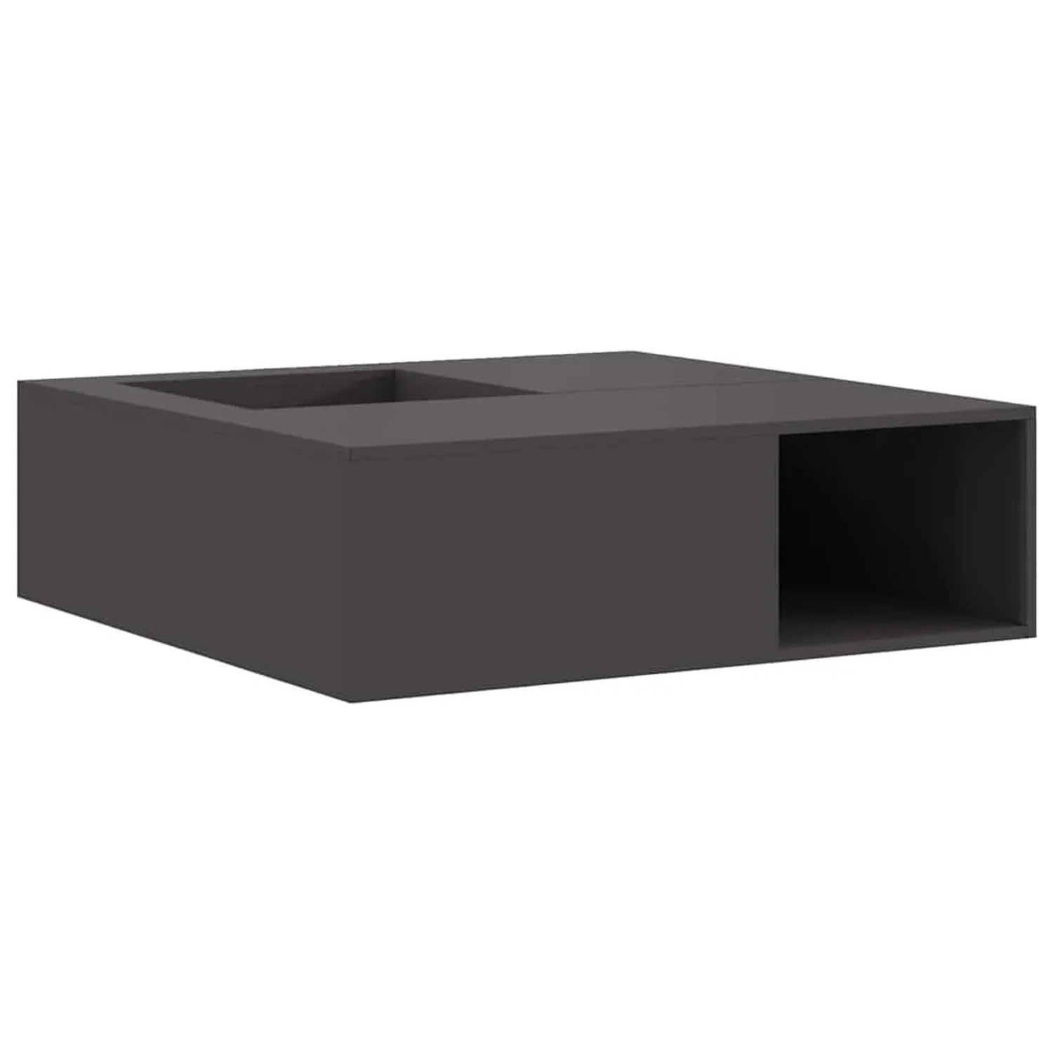 vidaXL Feuerstelle Schwarz 100 x 100 x 30 cm Stahl 859000