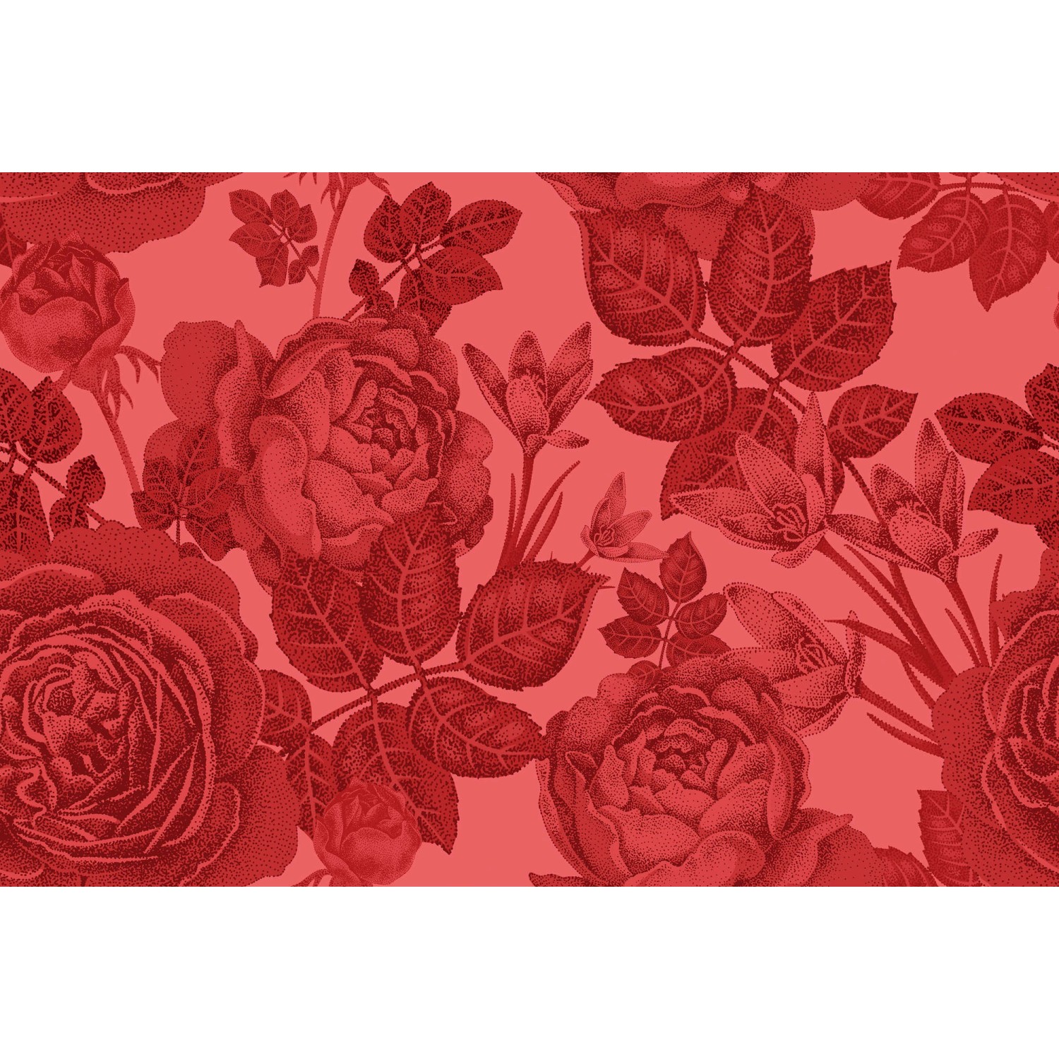Fototapete Blumen Rosen Rot 4,00 m x 2,70 m FSC®