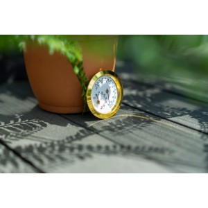 Pergart Hygrometer: Analoges Messgerät für Temperatur und Luftfeuchtigkeit im Gewächshaus.