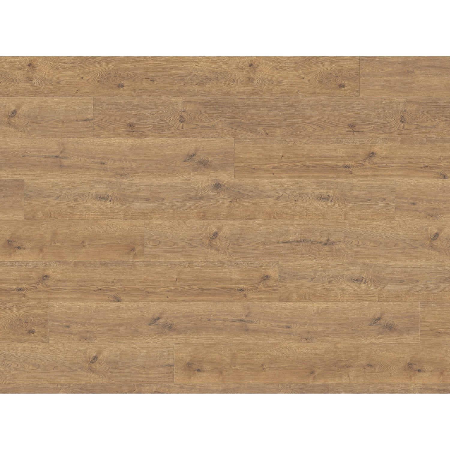 Living by Haro Laminatbodenmuster Salone Eiche Calgary Natur