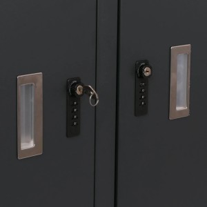 PROREGAL Fahrradgarage 4er 160x222x208cm Abschließbar Metall Anthrazit