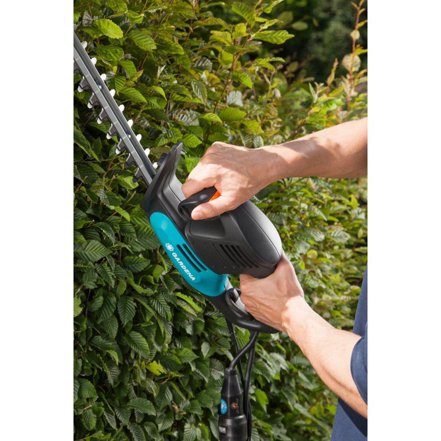 Gardena Elektro-Heckenschere EasyCut 420/45 im Einsatz beim Heckenschnitt.