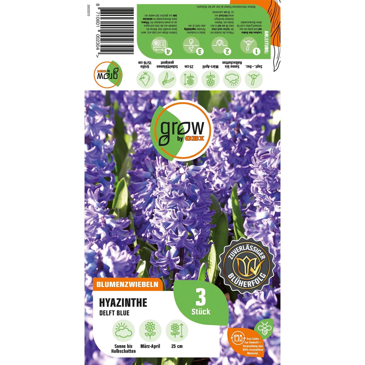 GROW by OBI Hyazinthe Delft Blue mit blauen Blüten, Blumenzwiebel für Beet und Garten.