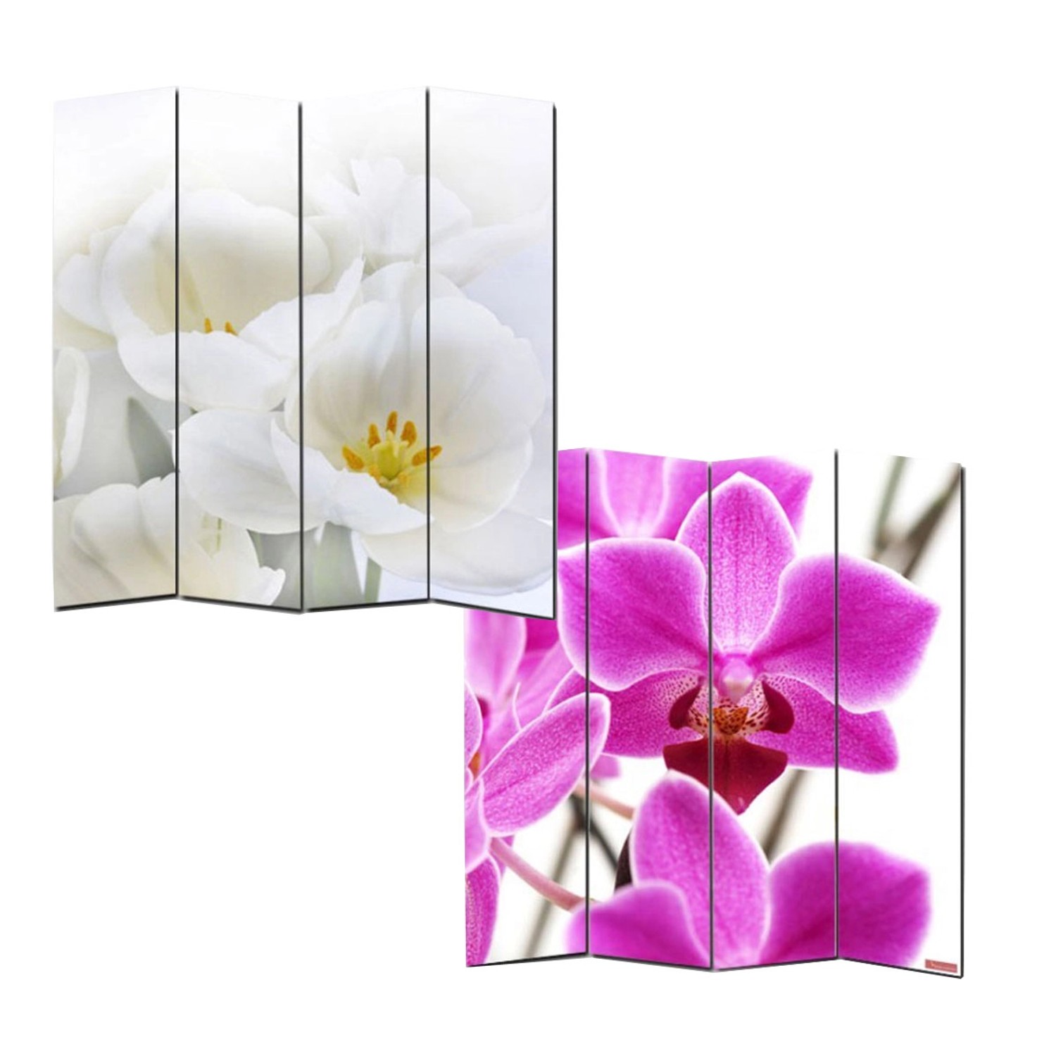 MCW Foto-Paravent Bagheria 180x160cm Orchidee günstig online kaufen