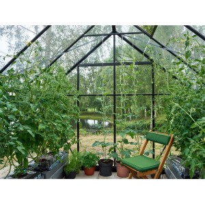 Innenansicht: Schwarzes Halls Universal 128 Gewächshaus mit Pflanzen und Stuhl. Ideal für Gemüseanbau.