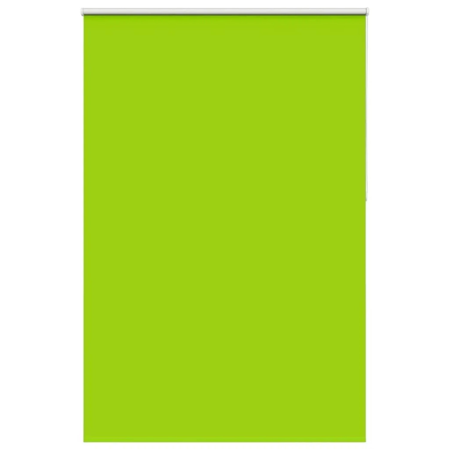 vidaXL Verdunkelungsrollo Grün 160x210cm Stoffbreite 156,6cm Polyester 4011 günstig online kaufen