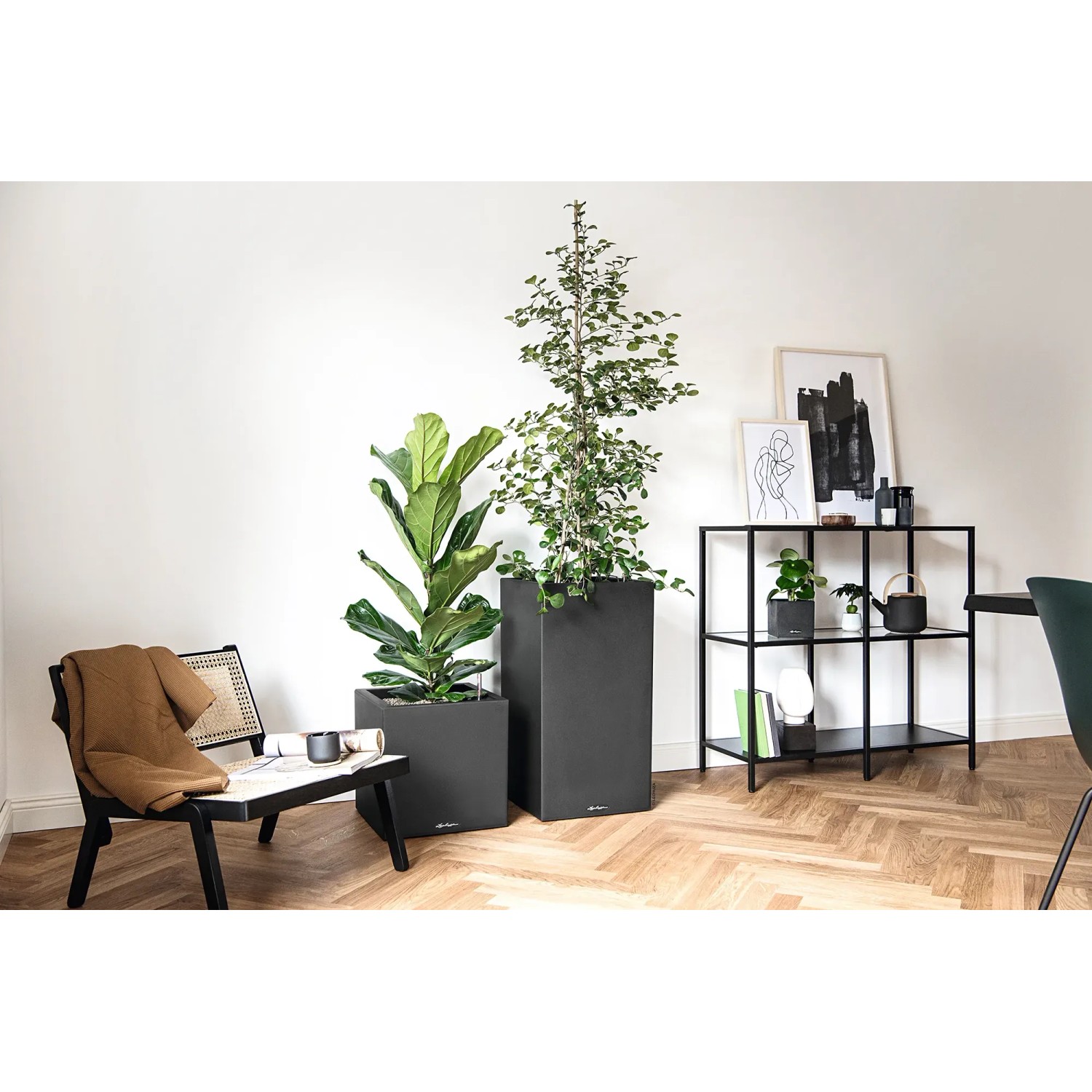 Lechuza Canto Stone high Pflanzgefäße in Graphitschwarz, 30x56cm, mit Bepflanzung im Wohnraum.